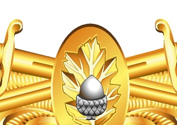 Surface Warfare Medical Corps