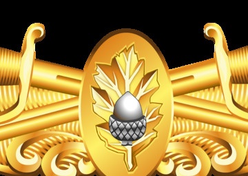Surface Warfare Medical Corps Insignia