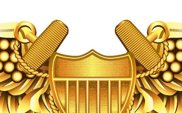 Naval Flight Officer (NFO) Insignia