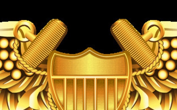Naval Flight Officer (NFO) Insignia