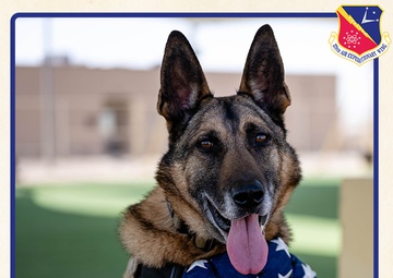 Grand Slam MVP, military working dog Ricsi