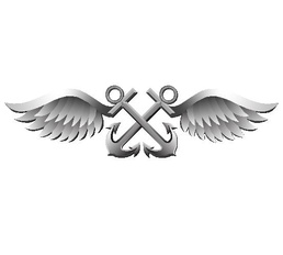 Aviation Boatswain's Mate (AB) Enlisted Rate