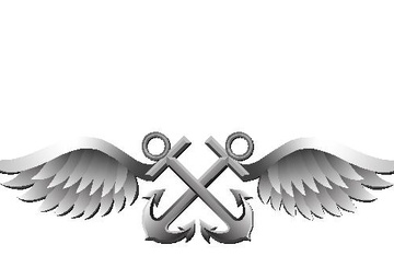Aviation Boatswain's Mate (AB) Enlisted Rate
