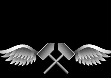 Aviation Structural Mechanic (AM) Enlisted Rate