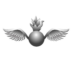 Aviation Ordnanceman (AO) Enlisted Rate
