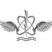 Naval Aircrewman (AW) Enlisted Rate