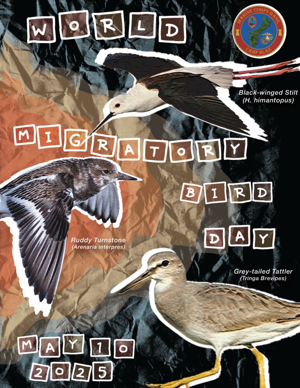 World Migratory Bird Day 2025