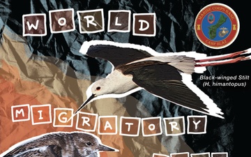 World Migratory Bird Day 2025