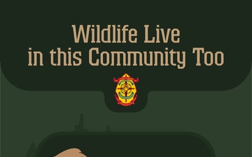 Wildlife Live in this Community Too!
