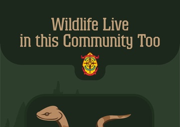 Wildlife Live in this Community Too!