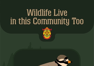 Wildlife Live in this Community Too!