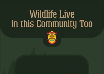 Wildlife Live in this Community Too!