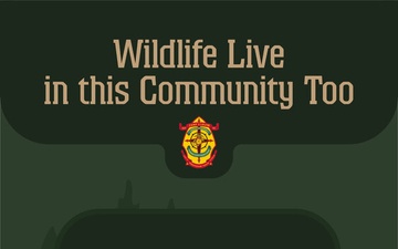 Wildlife Live in this Community Too!