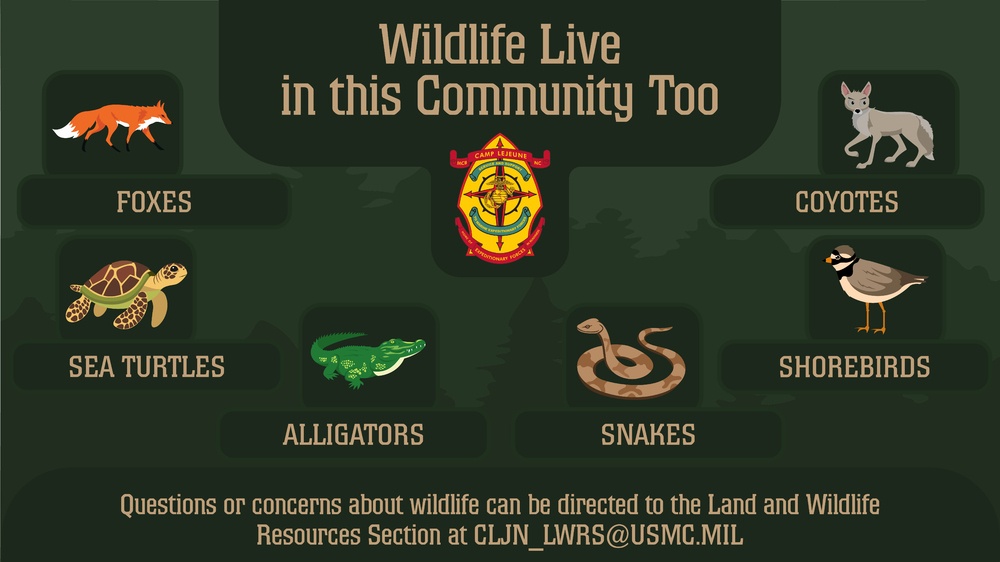 Wildlife Live in this Community Too!