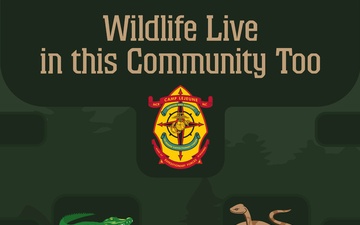 Wildlife Live in this Community Too!