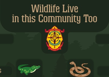 Wildlife Live in this Community Too!