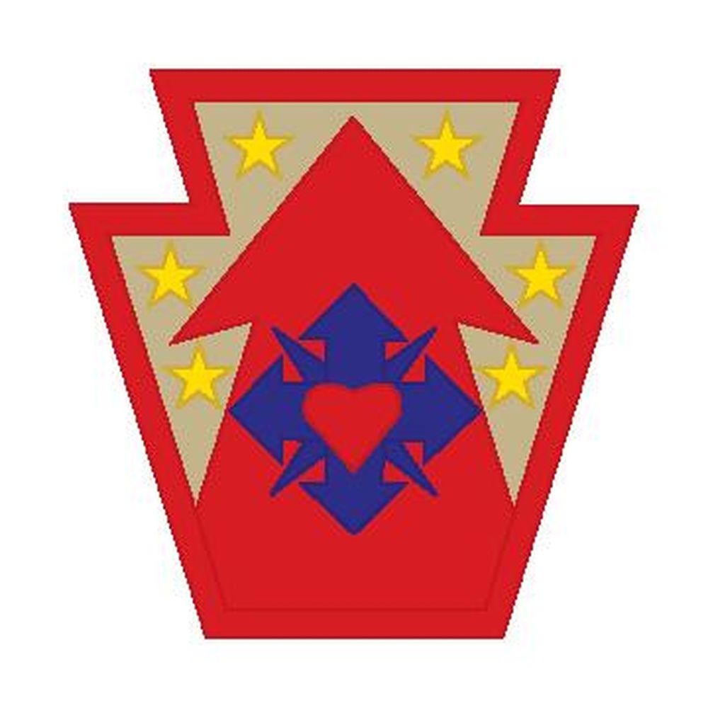 213th RSG patch