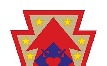 213th RSG patch