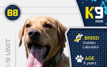 Working K-9 Card (Front) - Rango
