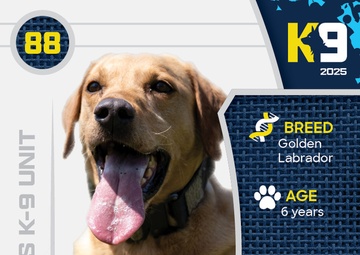 Working K-9 Card (Front) - Rango