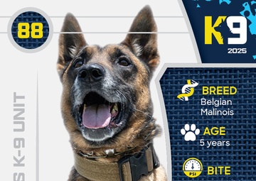Working K-9 Card (Front) - Bulit