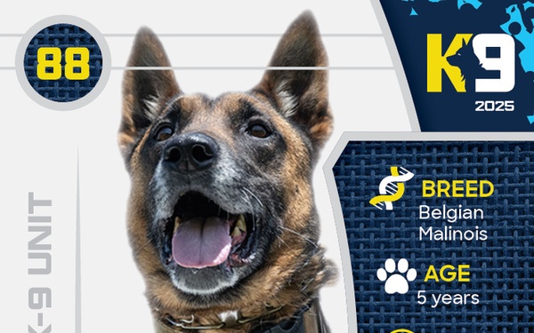 Working K-9 Card (Front) - Bulit