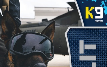 Working K-9 Card (Back) - Bulit