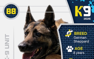 Working K-9 Card (Front) - Flex