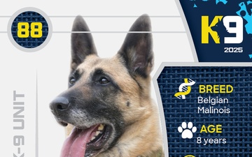 Working K-9 Card (Front) - Misha