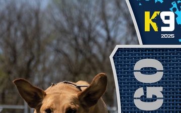 Working K-9 Card (Back) - Rango