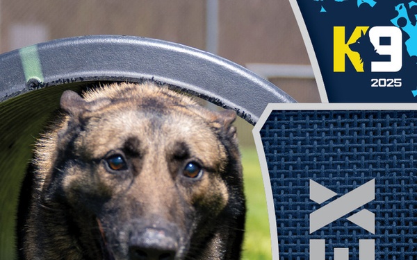 Working K-9 Card (Back) - Flex