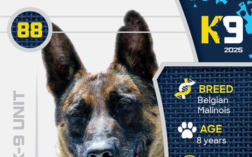 Working K-9 Card (Front) - Kkaun