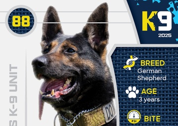 Working K-9 Card (Front) - Lux
