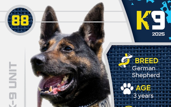 Working K-9 Card (Front) - Lux