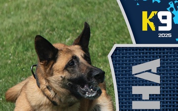 Working K-9 Card (Back) - Misha