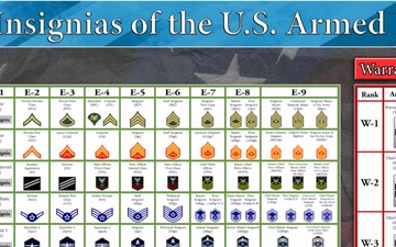 Rank Insignia of the U.S. Armed Forces Poster 2025
