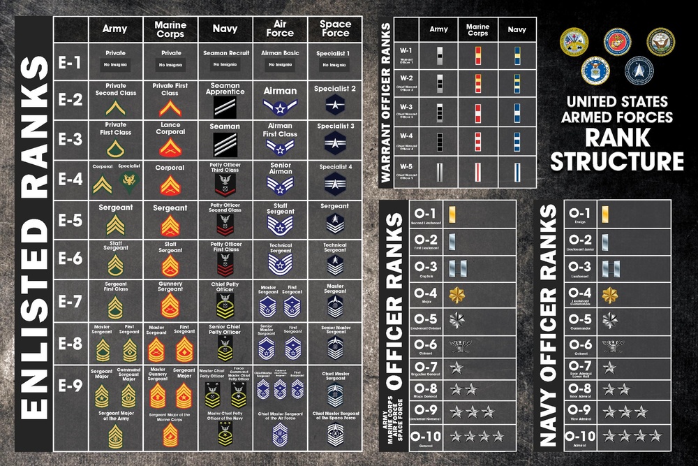 United States Armed Forces Rank Structure Poster (2024)