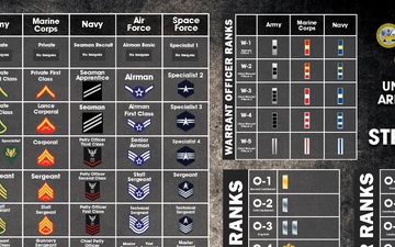 United States Armed Forces Rank Structure Poster (2024)