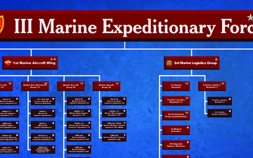 III MEF Componency Structure Poster