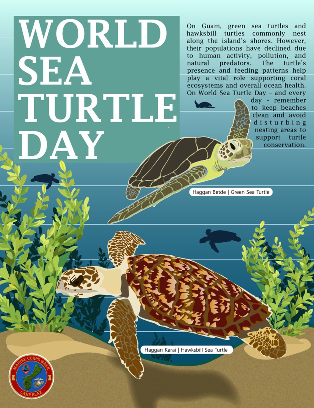 World Sea Turtle Day Graphic