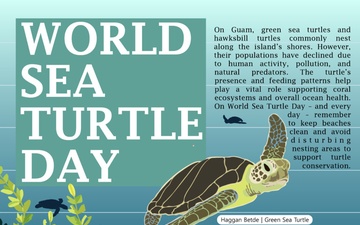 World Sea Turtle Day Graphic