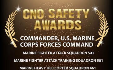 CNO FY 2024 Aviation Safety Awards: COMMARFORCOM