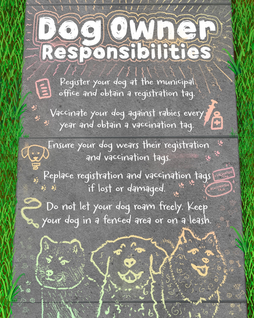 Dog Owner Responsibilities in Japan