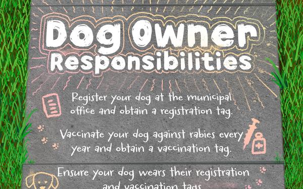 Dog Owner Responsibilities in Japan