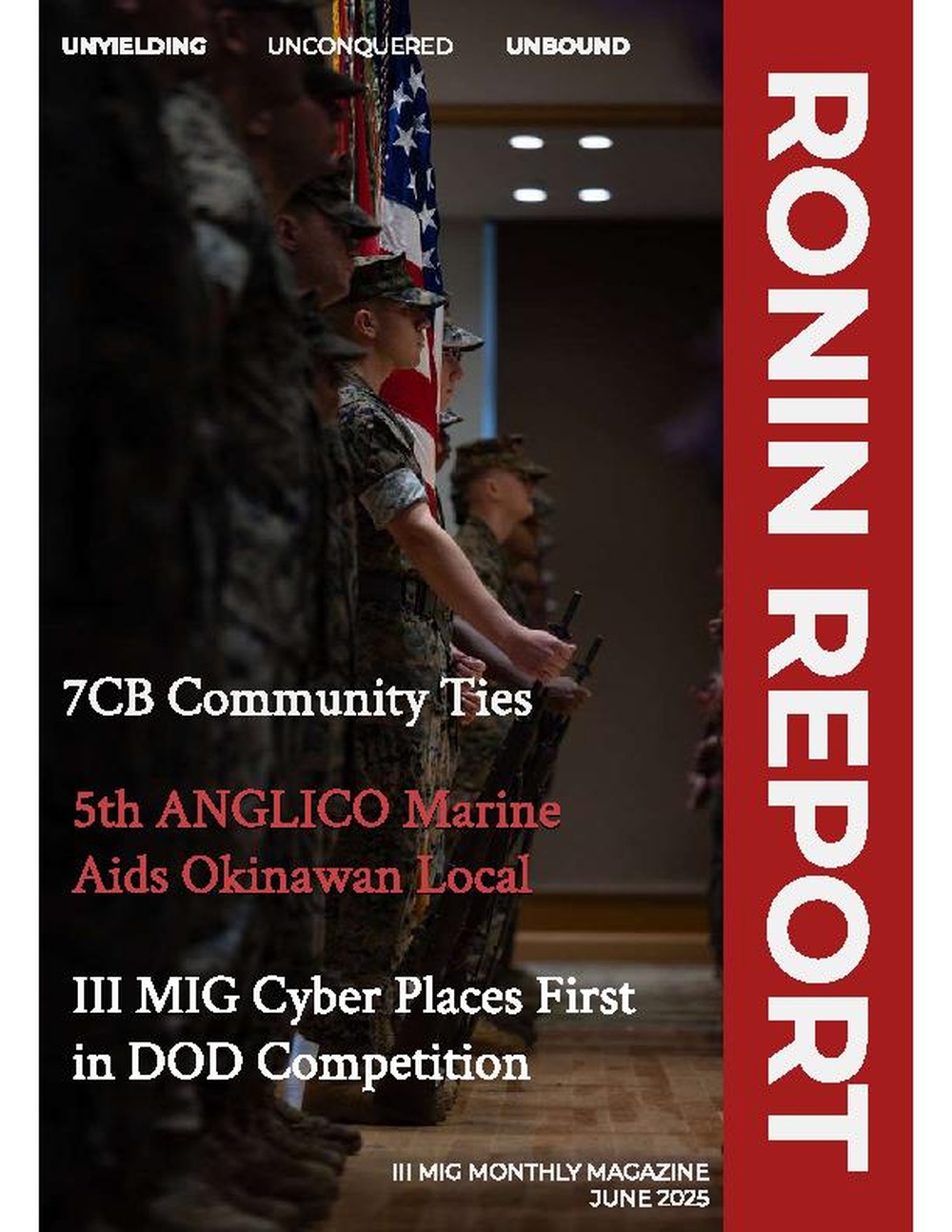 June Ronin Report Cover Page