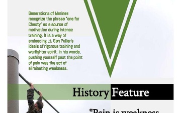 June Ronin Report page 11