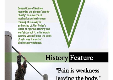 June Ronin Report page 11