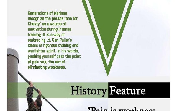 June Ronin Report page 11