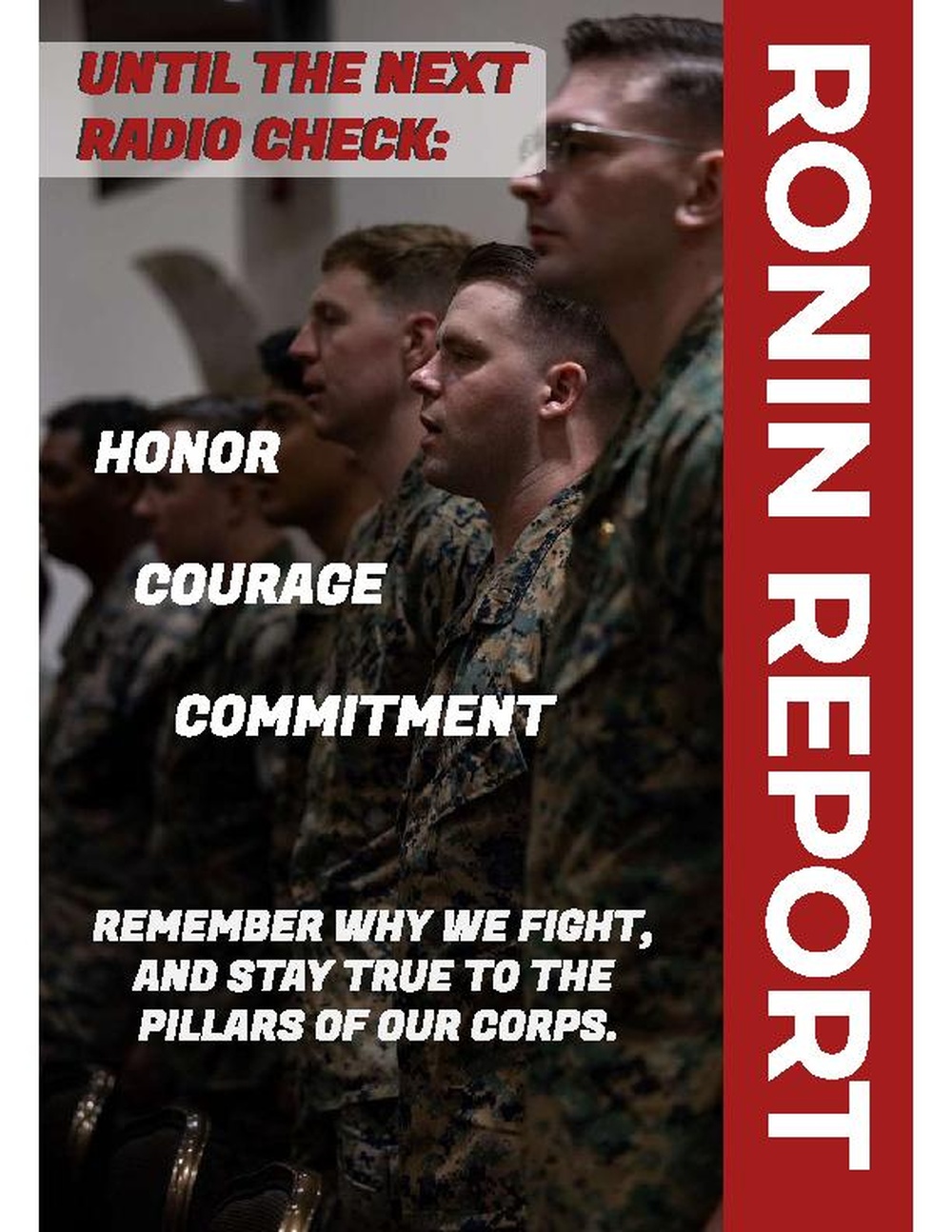 June Ronin Report page 13