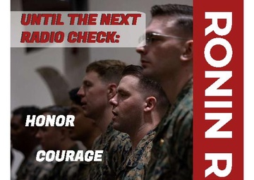 June Ronin Report page 13